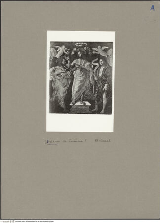 Vorderseite von bh050431_recto