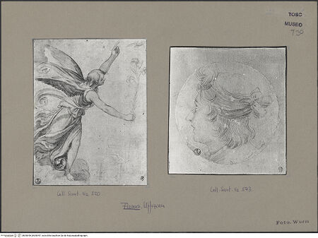 Vorderseite von bh050496_bh050497_recto