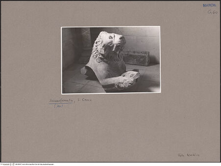 Vorderseite von Bibliotheca Hertziana [https://www.deutsche-digitale-bibliothek.de/content/lizenzen/rv-ez/] Fragment eines kauernden Löwens - Dreiviertelansicht von vorne links, bh050587_recto. Foto: Noehles, Karl.