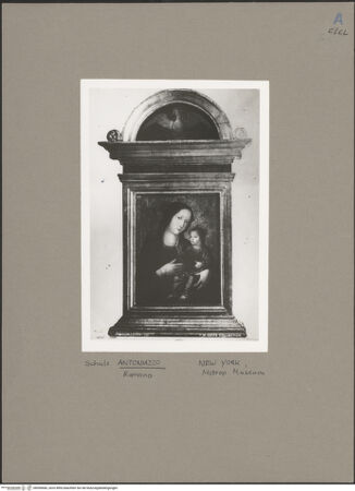 Vorderseite von bh050666_recto