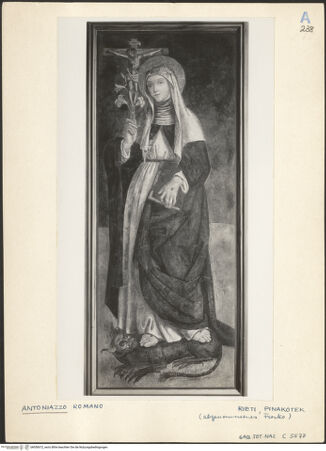 Vorderseite von bh050672_recto