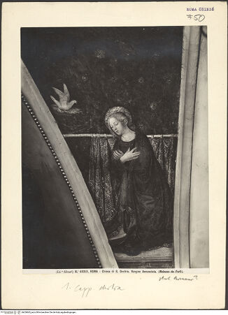 Vorderseite von bh050683_recto