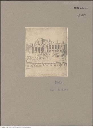 Vorderseite von bh050996_recto