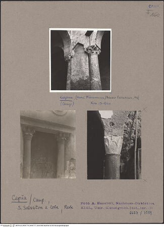 Vorderseite von bh051624_bh061176_bh061177_recto