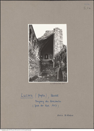 Vorderseite von Bibliotheca Hertziana [https://www.deutsche-digitale-bibliothek.de/content/lizenzen/rv-fz/] Fortezza AngioinaPalast Friedrichs II. - Gewölbe der Nordecke von Südwesten (Zustand 1959 - nach der Restaurierung), bh051692_recto. Foto: Hahn, Hanno.