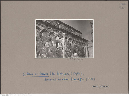 Vorderseite von Bibliotheca Hertziana [https://www.deutsche-digitale-bibliothek.de/content/lizenzen/rv-fz/] Abbazia di Santa Maria di CerrateSüdseite des Langhauses - Rechtes Seitenschiff, Außenwand (vor der Restaurierung), bh051719_recto. Foto: Hahn, Hanno.