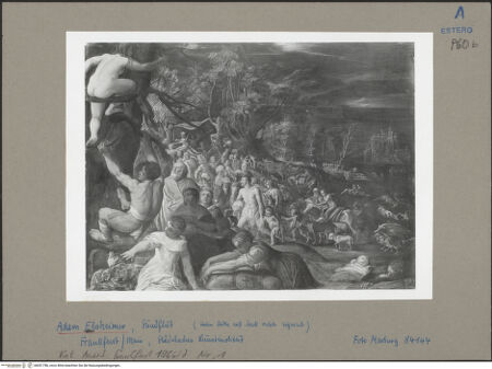 Vorderseite von bh051786_recto