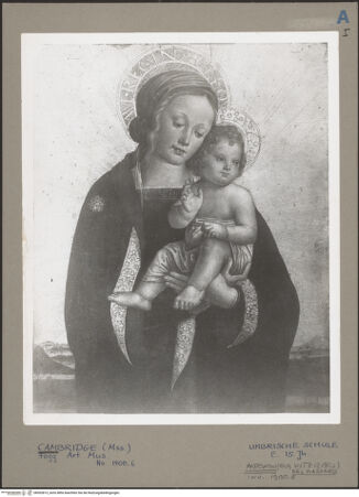 Vorderseite von bh052813_recto