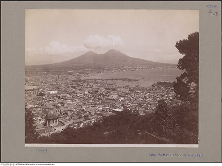 Vorderseite von Alinari [https://www.deutsche-digitale-bibliothek.de/content/lizenzen/rv-ez/] NeapelStadtzentrum: Centro antico, Vomero, Hafen - Blick über die Altstadt und den Hafen zum Vesuv, bh052998_recto. Foto.