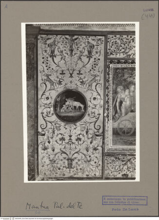 Vorderseite von bh053099_recto