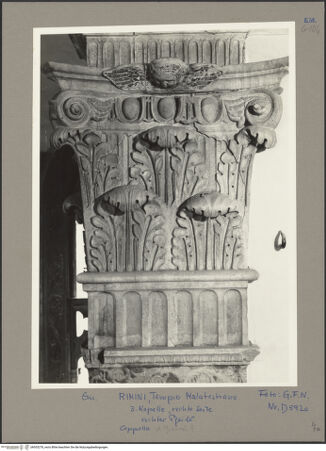 Vorderseite von bh053278_recto