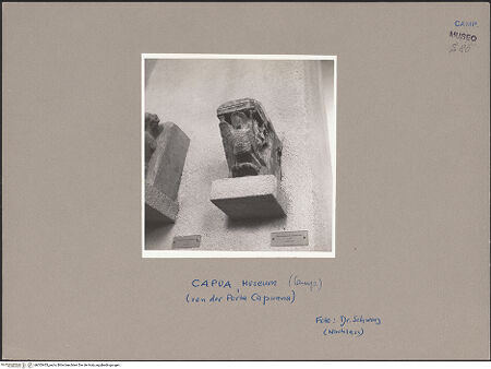 Vorderseite von Schwarz, Heinrich Mathias [https://www.deutsche-digitale-bibliothek.de/content/lizenzen/rv-fz/] Konsole mit Adler - Seitenansicht von rechts, bh053455_recto. Foto: Schwarz, Heinrich Mathias.