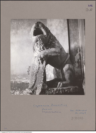 Vorderseite von bh054359_recto