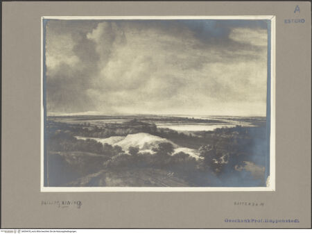 Vorderseite von bh054478_recto