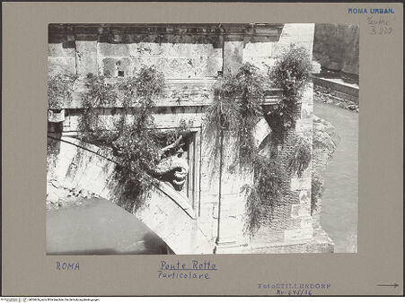 Vorderseite von bh054636_recto