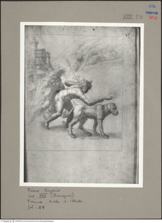 Vorderseite von bh055090_recto