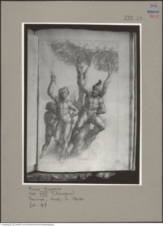 Vorderseite von bh055097_recto