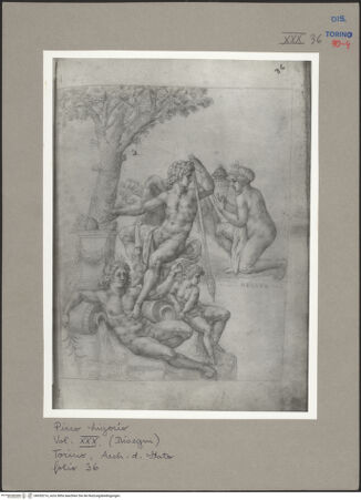 Vorderseite von bh055214_recto