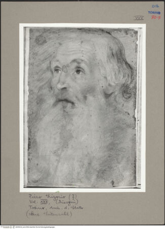 Vorderseite von bh055224_recto