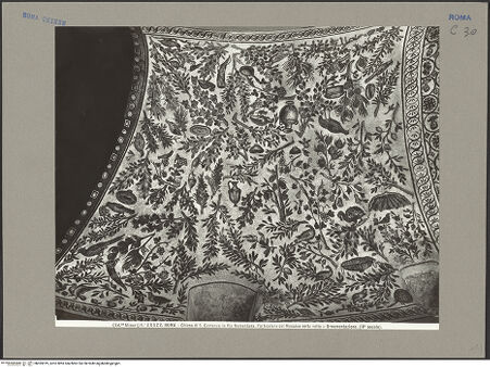 Vorderseite von Alinari [https://www.deutsche-digitale-bibliothek.de/content/lizenzen/rv-ez/] Mosaik mit Pflanzen, Vögeln und weiteren Motiven - Gesamtaufnahme, bh055919_recto. Foto.