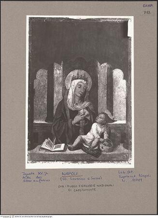 Vorderseite von Sopr. BAS NA [https://www.deutsche-digitale-bibliothek.de/content/lizenzen/rv-ez/] Polittico di San Severino (Polyptychon des heiligen Severinus)Madonna - Gesamtansicht, bh056100_recto. Foto.