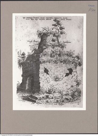 Vorderseite von unbekannt [https://www.deutsche-digitale-bibliothek.de/content/lizenzen/rv-fz/] Monumenta clarorum doctrina praecipuè ...Tafel 10: Ruine des Grabmonuments von Vergil in Neapel - Gesamtansicht, bh056516_recto. Foto.