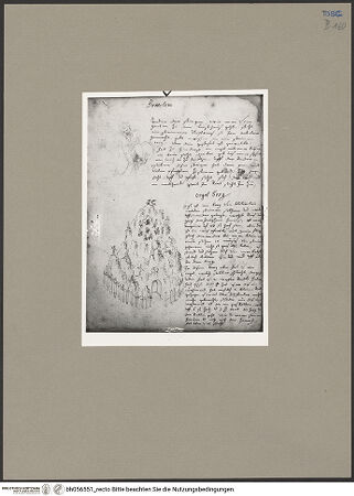 Vorderseite von bh056551_recto