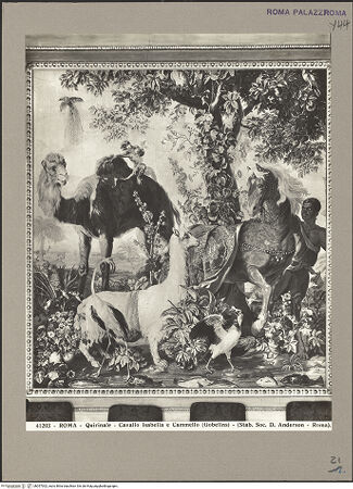 Vorderseite von bh057002_recto