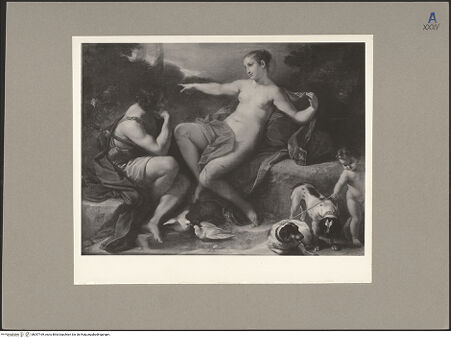 Vorderseite von bh057169_recto