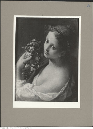 Vorderseite von bh057174_recto