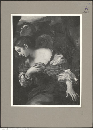 Vorderseite von bh057544_recto