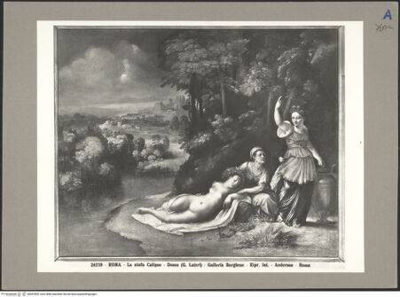 Vorderseite von bh057895_recto