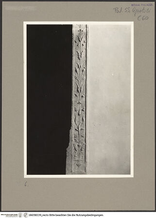 Vorderseite von bh058239_recto