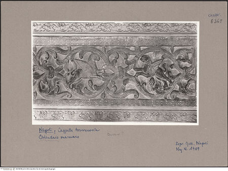 Vorderseite von Sopr. BAS NA [https://www.deutsche-digitale-bibliothek.de/content/lizenzen/rv-ez/] Reliefe mit Greifen - Gesamtansicht, bh058388_recto. Foto.