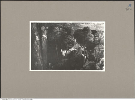 Vorderseite von bh058718_recto