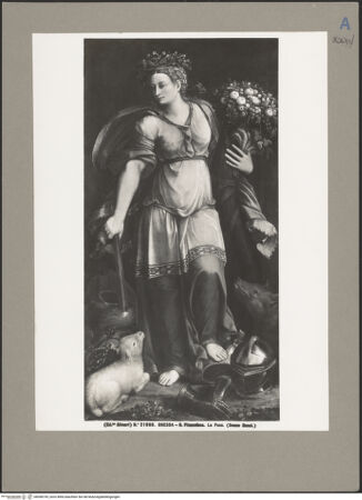 Vorderseite von bh058739_recto