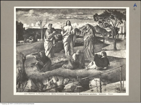 Vorderseite von bh058771_recto