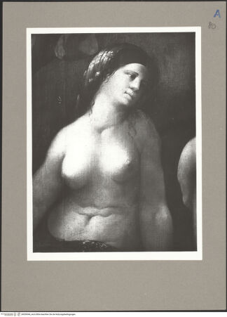 Vorderseite von bh059046_recto