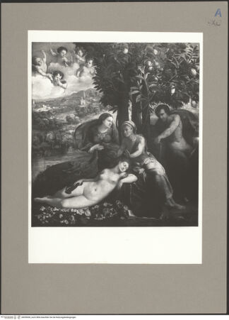 Vorderseite von bh059050_recto