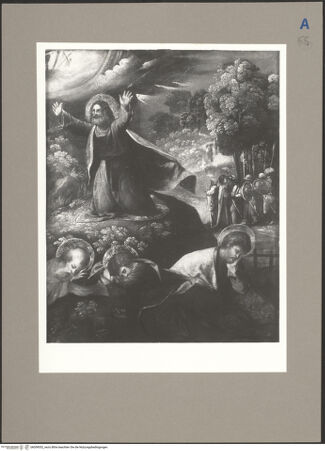 Vorderseite von bh059052_recto