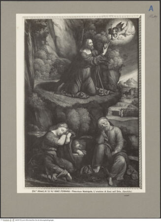 Vorderseite von bh059739_recto