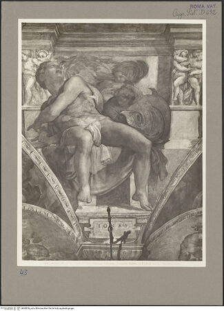 Vorderseite von Alinari [https://www.deutsche-digitale-bibliothek.de/content/lizenzen/rv-ez/] Die Sixtinische DeckePropheten und SibyllenJonas - , bh060056_recto. Foto.