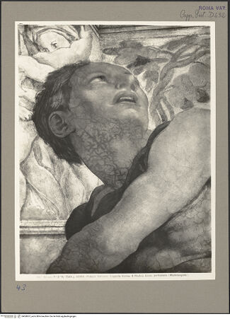 Vorderseite von Alinari [https://www.deutsche-digitale-bibliothek.de/content/lizenzen/rv-ez/] Die Sixtinische DeckePropheten und SibyllenJonas - Detail, bh060057_recto. Foto.