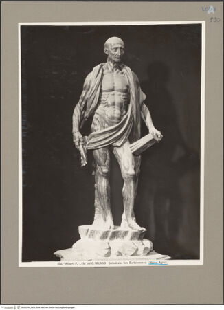 Vorderseite von Alinari [https://www.deutsche-digitale-bibliothek.de/content/lizenzen/rv-ez/] Heiliger Bartholomäus - Gesamtansicht, bh060394_recto. Foto.