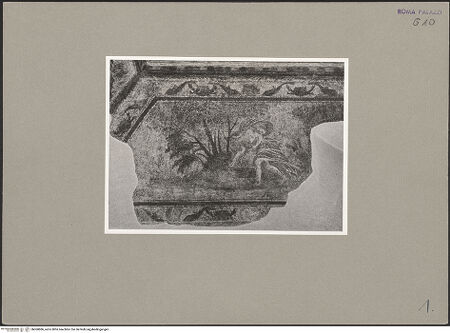 Vorderseite von bh060886_recto