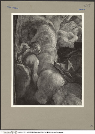 Vorderseite von ICCD [https://www.deutsche-digitale-bibliothek.de/content/lizenzen/rv-ez/] Szenen aus dem Marienleben und ProphetenHimmelfahrt Mariens - Detail: Fuß Mariens und Putto unter der Wolke, bh061072_recto. Foto.