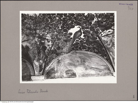 Vorderseite von bh061861_recto