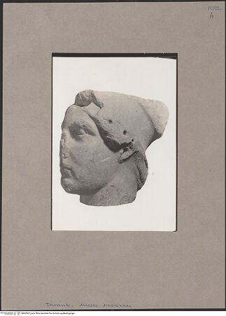 Vorderseite von bh062867_recto