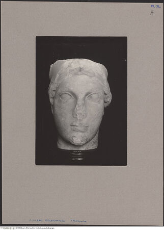 Vorderseite von bh062868_recto