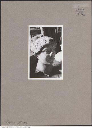 Vorderseite von Bibliotheca Hertziana [https://www.deutsche-digitale-bibliothek.de/content/lizenzen/rv-fz/] Kopf der Capua Fidelis - Seitenansicht von links, bh062869_recto. Foto: Schwarz, Heinrich Mathias.